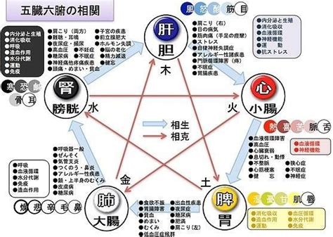 五行 体の部位|【漢方基礎知識】中医学の基礎となる哲学「五行学説。